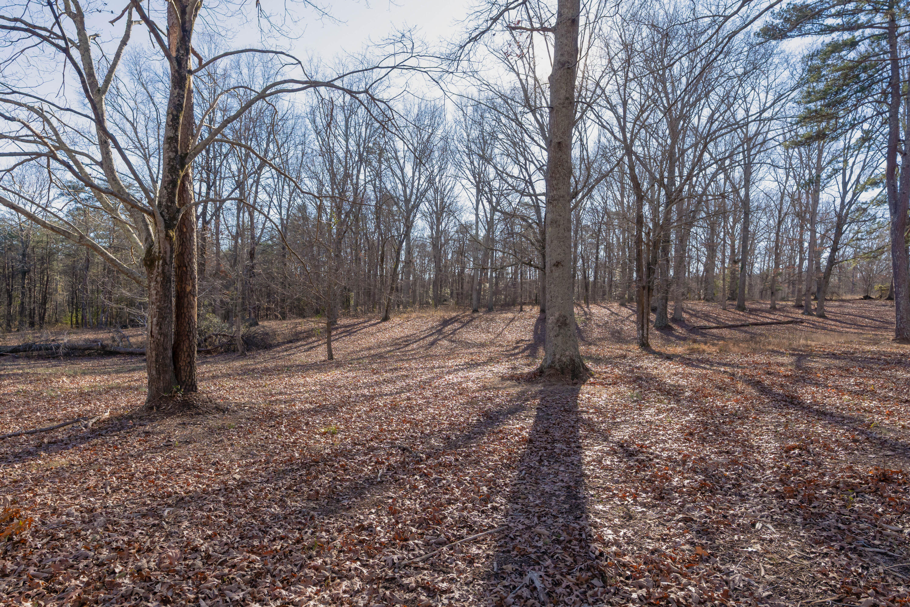698 Payne Chapel Road Lookout Mountain, GA 30750 - Photo 70 of 101 74 - 698 Payne Chapel Rd - Ground