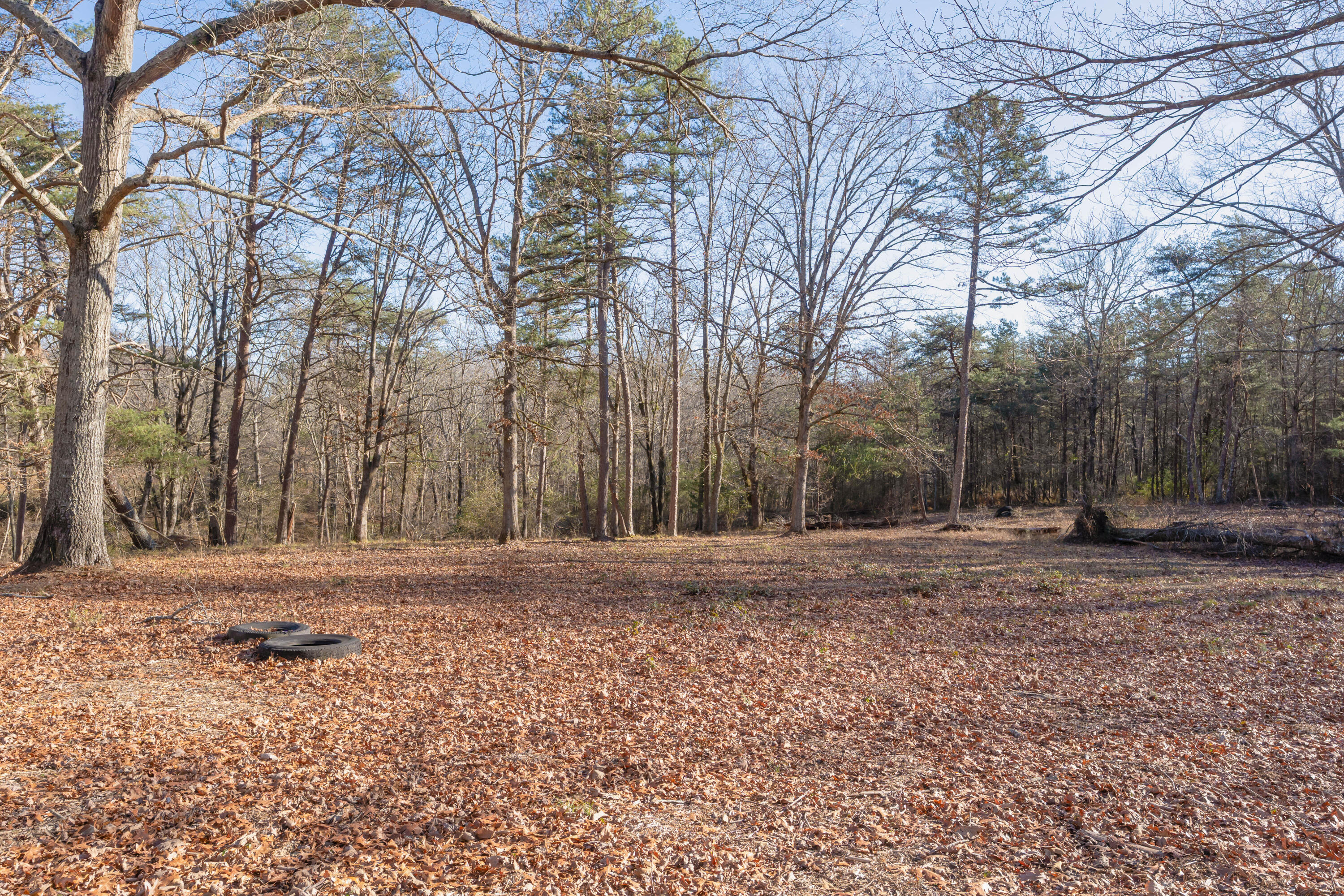 698 Payne Chapel Road Lookout Mountain, GA 30750 - Photo 71 of 101 75 - 698 Payne Chapel Rd - Ground