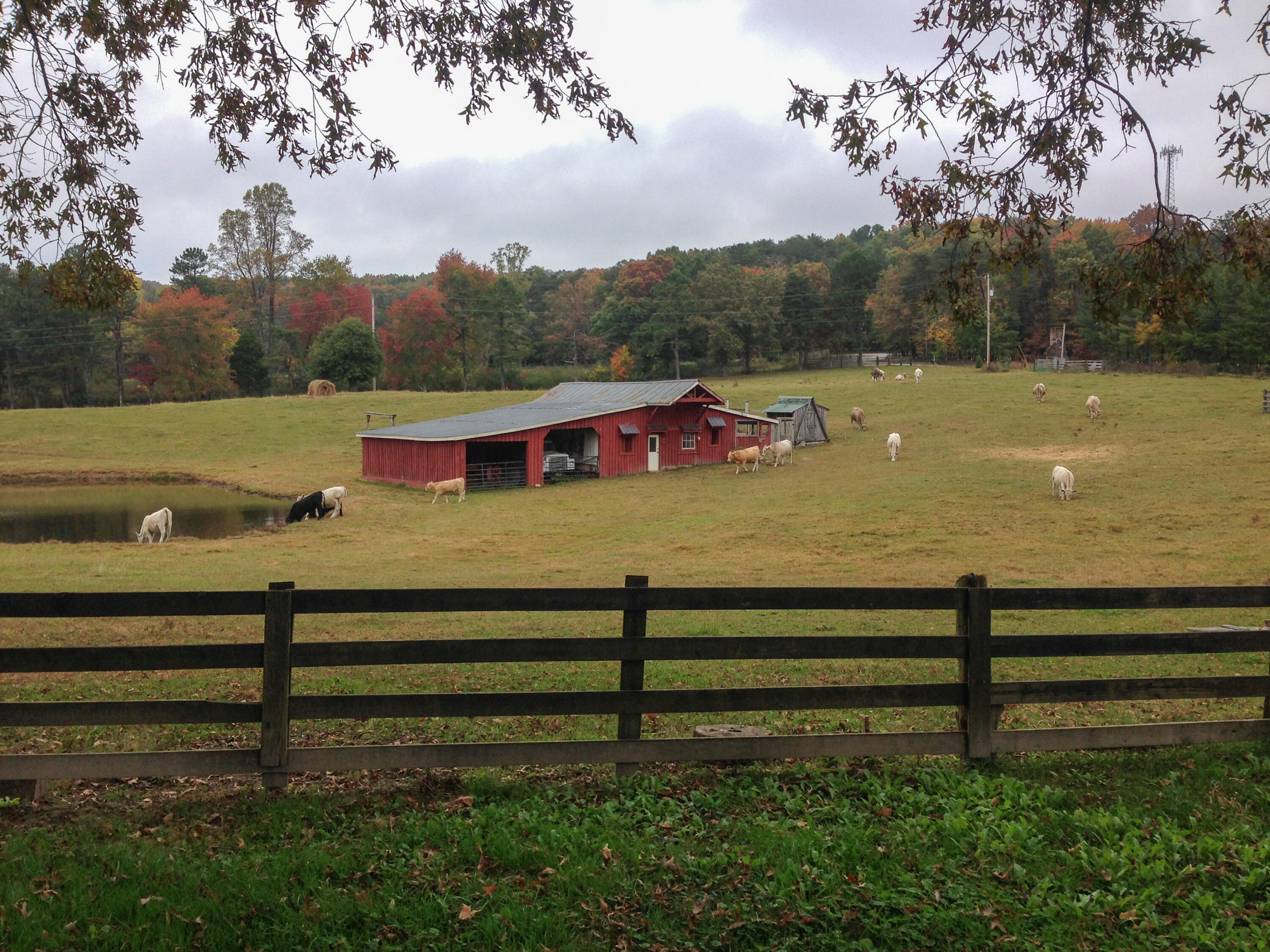 698 Payne Chapel Road Lookout Mountain, GA 30750 - Photo 76 of 101 01 - 698 Payne Chapel Rd - Seller Pics