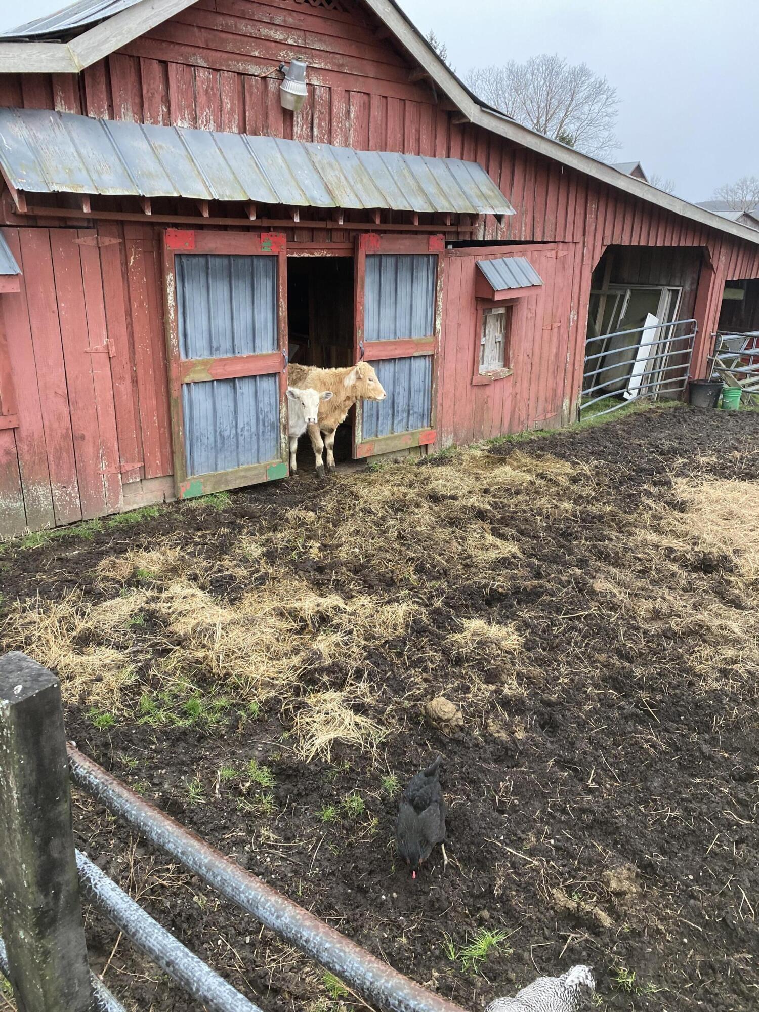 698 Payne Chapel Road Lookout Mountain, GA 30750 - Photo 80 of 101 29 - 698 Payne Chapel Rd - Seller Pics