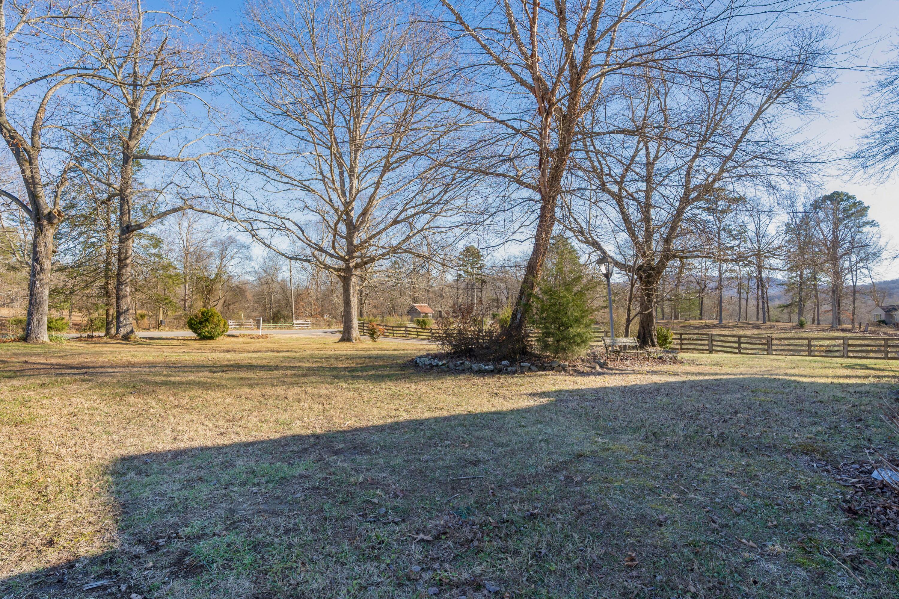698 Payne Chapel Road Lookout Mountain, GA 30750 - Photo 8 of 101 33 - 698 Payne Chapel Rd - Ground
