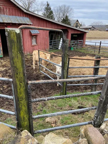 $2,500,000 | 698 Payne Chapel Road, Lookout Mountain, GA 30750