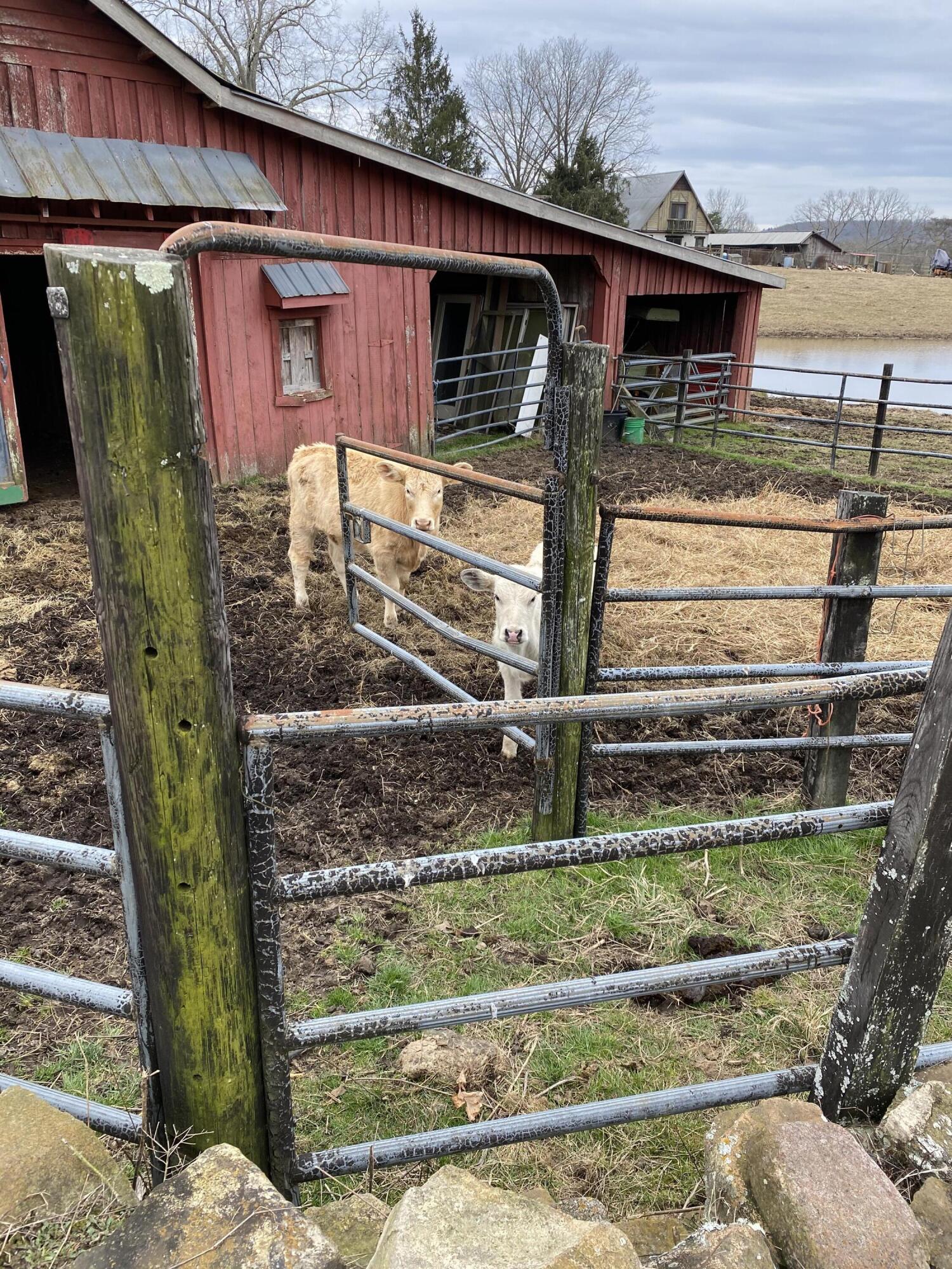 698 Payne Chapel Road Lookout Mountain, GA 30750 - Photo 81 of 101 28 - 698 Payne Chapel Rd - Seller Pics