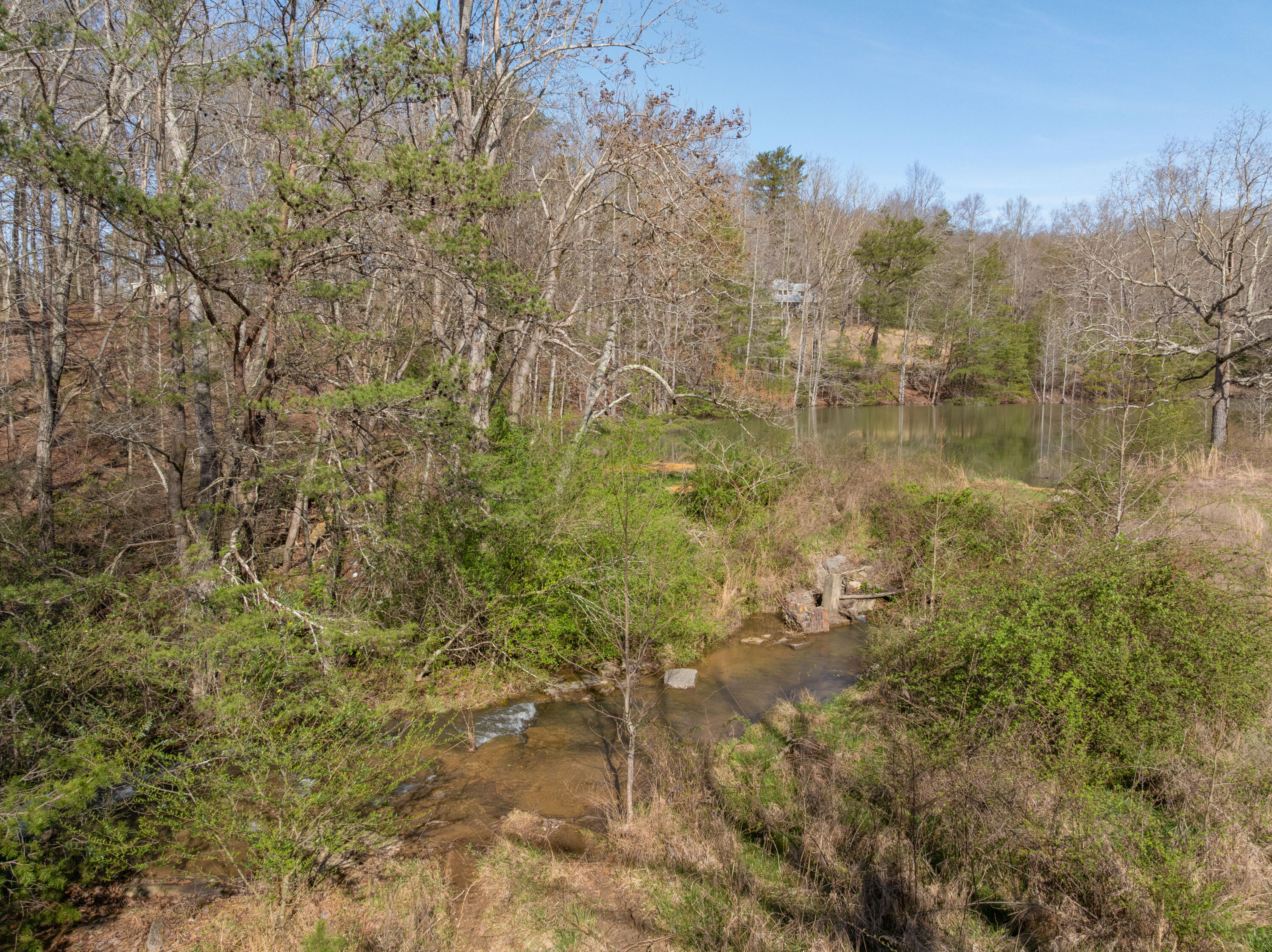 698 Payne Chapel Road Lookout Mountain, GA 30750 - Photo 81 of 124 09 - 698 Payne Chapel v2 - Drone