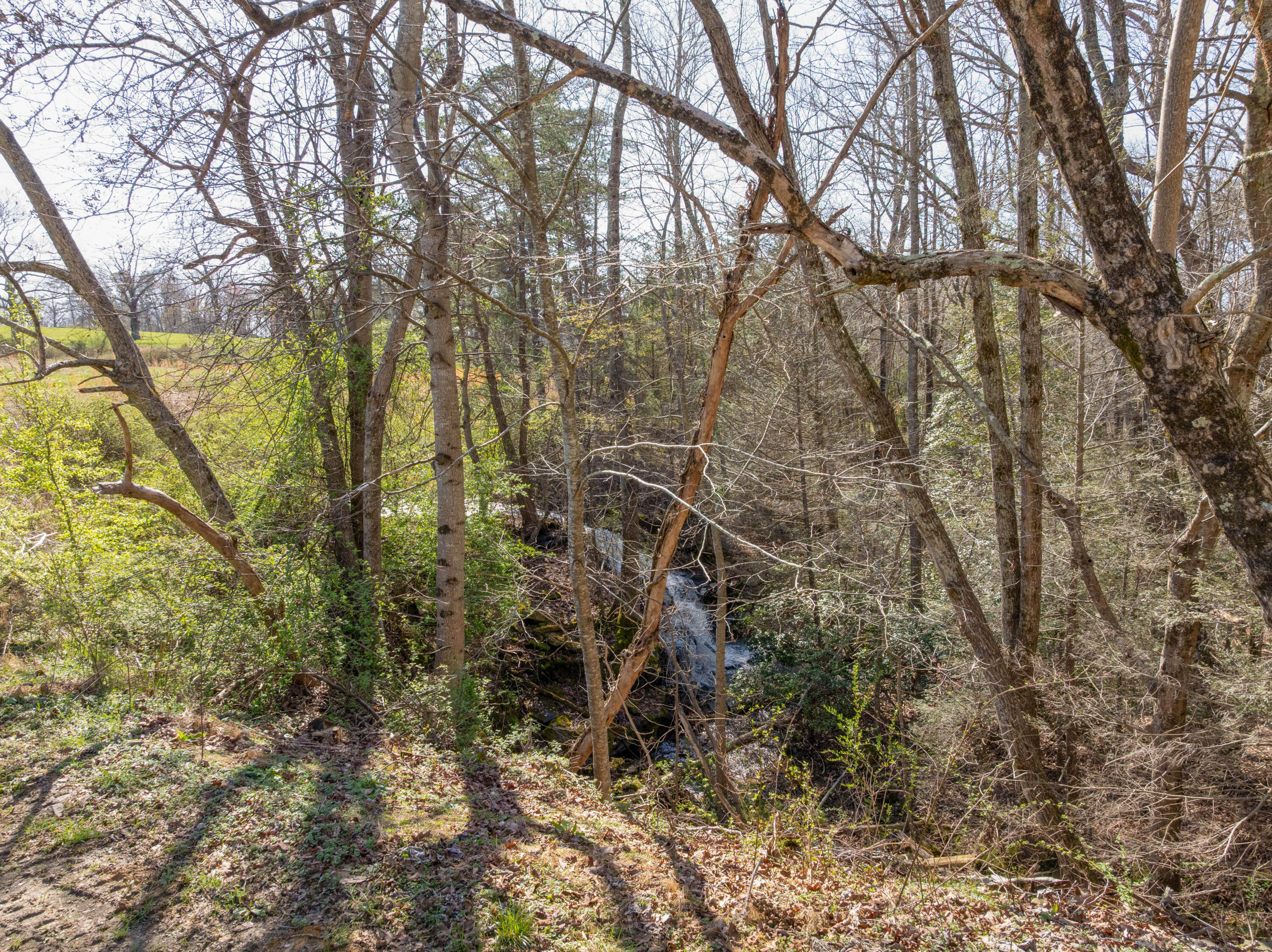 698 Payne Chapel Road Lookout Mountain, GA 30750 - Photo 82 of 124 10 - 698 Payne Chapel v2 - Drone