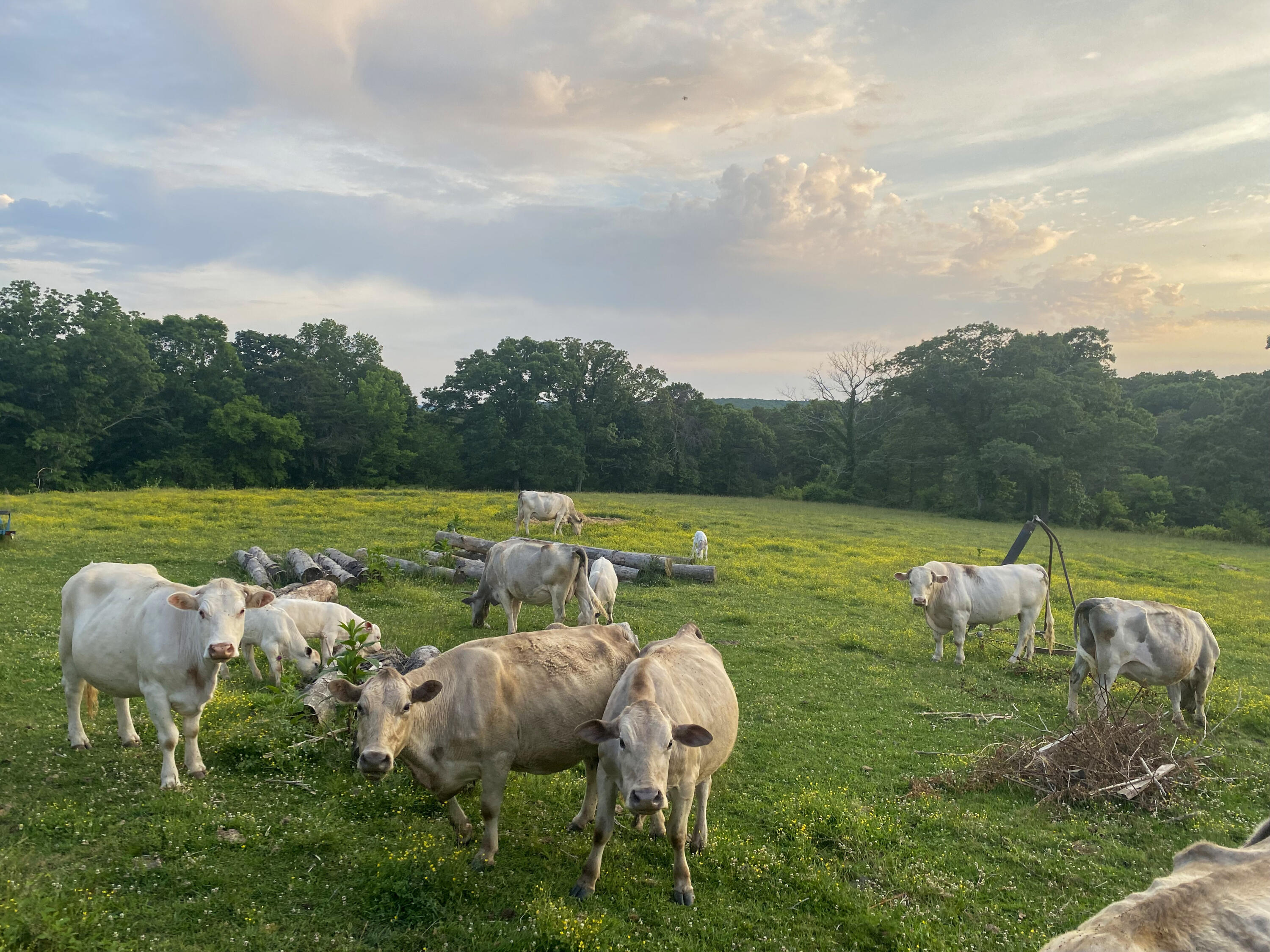 698 Payne Chapel Road Lookout Mountain, GA 30750 - Photo 85 of 101 06 - 698 Payne Chapel Rd - Seller Pics