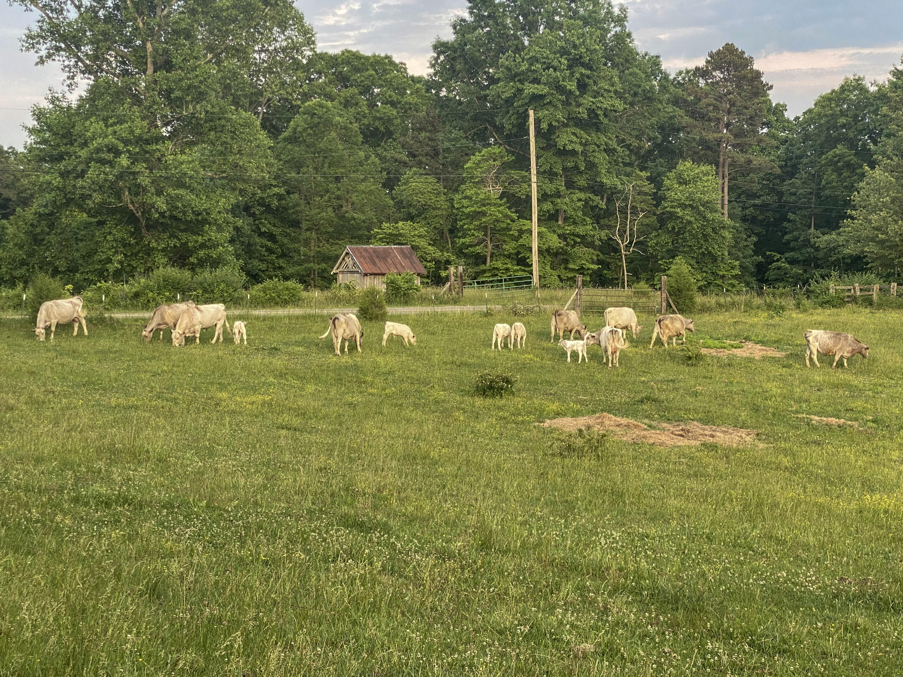 698 Payne Chapel Road Lookout Mountain, GA 30750 - Photo 86 of 101 07 - 698 Payne Chapel Rd - Seller Pics