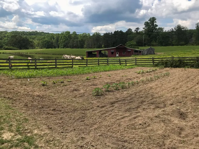 $2,500,000 | 698 Payne Chapel Road, Lookout Mountain, GA 30750