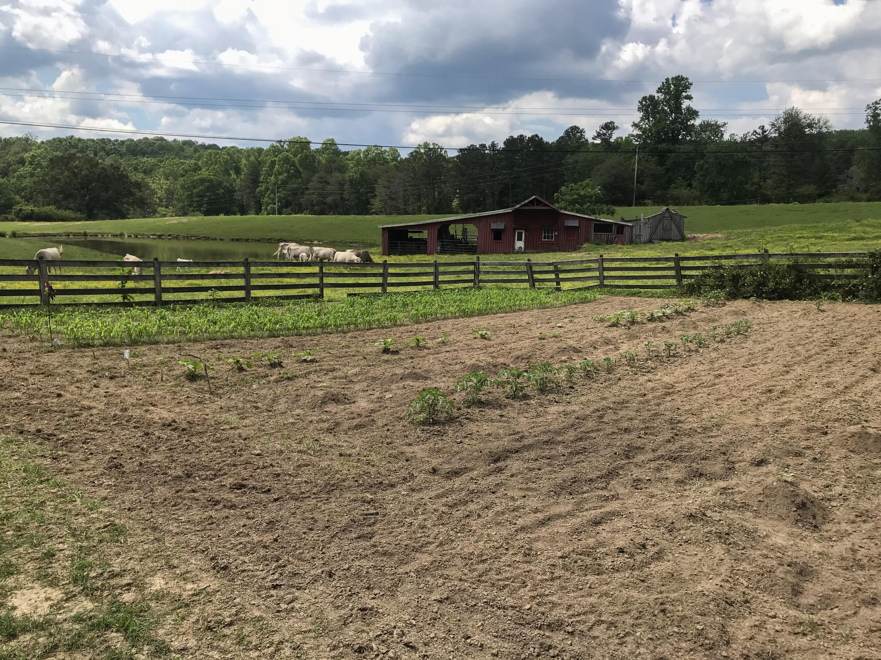 698 Payne Chapel Road Lookout Mountain, GA 30750 - Photo 87 of 101 10 - 698 Payne Chapel Rd - Seller Pics