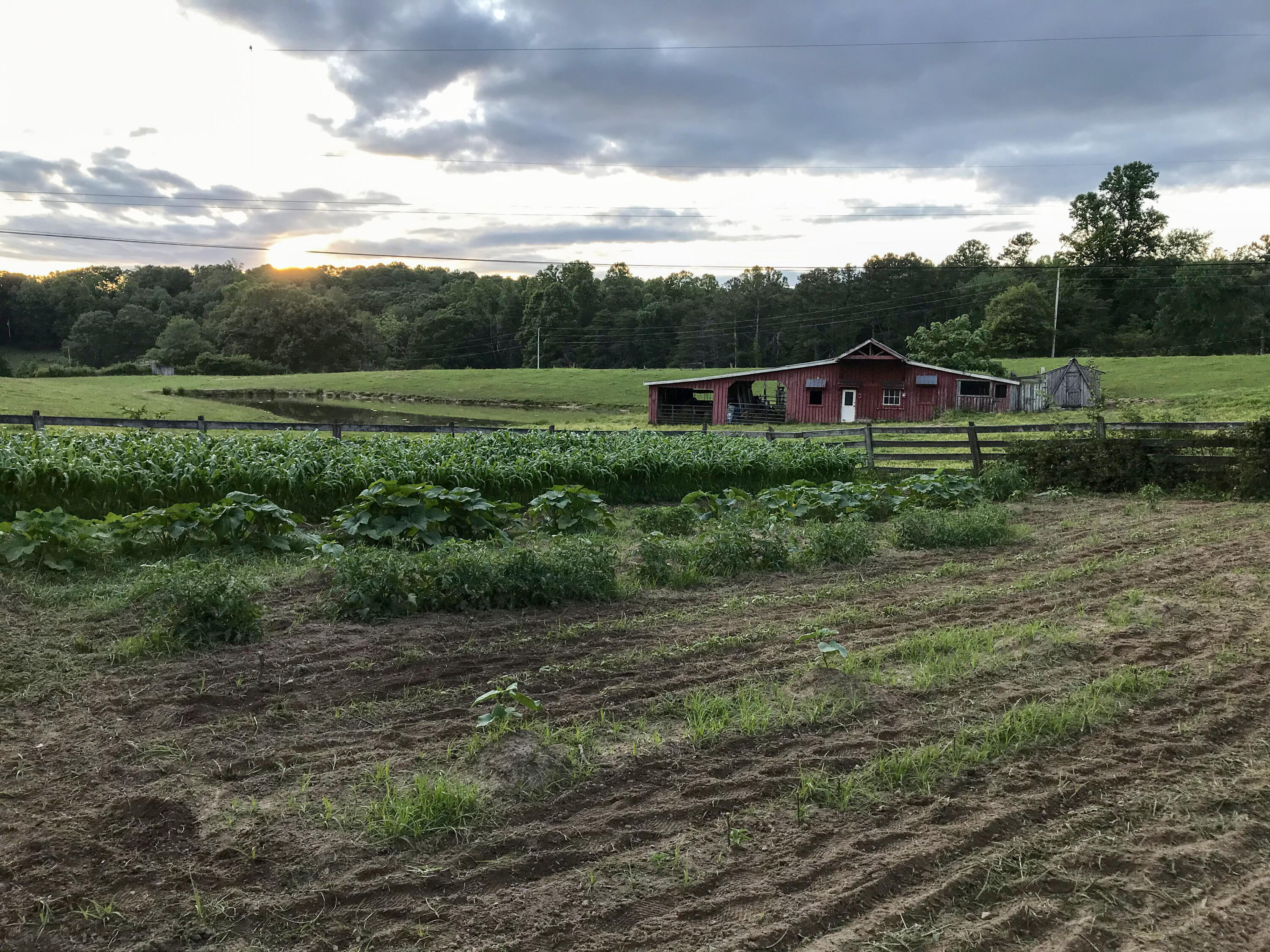 698 Payne Chapel Road Lookout Mountain, GA 30750 - Photo 88 of 101 11 - 698 Payne Chapel Rd - Seller Pics