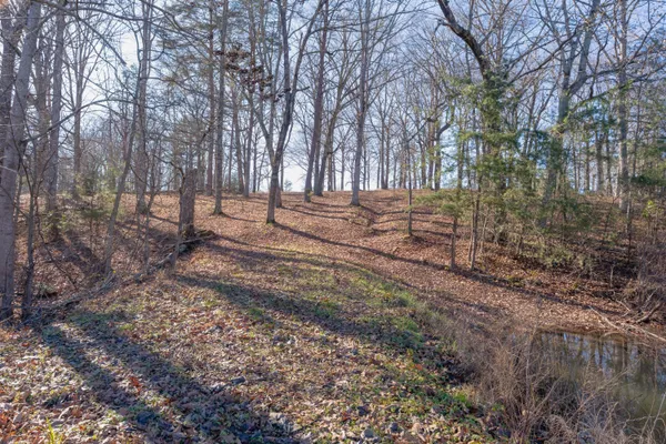 $2,000,000 | 698 Payne Chapel Road, Lookout Mountain, GA 30750