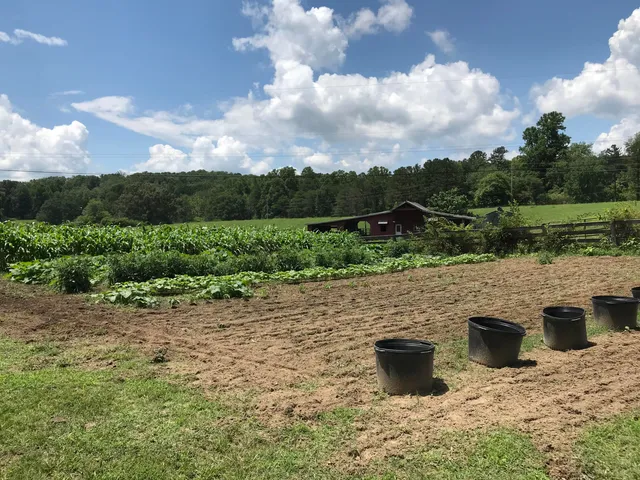 $2,500,000 | 698 Payne Chapel Road, Lookout Mountain, GA 30750