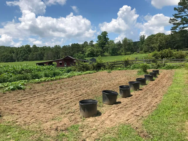 $2,500,000 | 698 Payne Chapel Road, Lookout Mountain, GA 30750