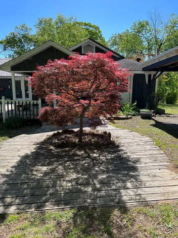 $2,500,000 | 698 Payne Chapel Road, Lookout Mountain, GA 30750