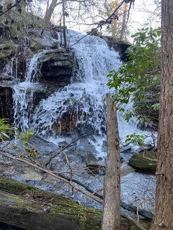 $2,000,000 | 698 Payne Chapel Road, Lookout Mountain, GA 30750