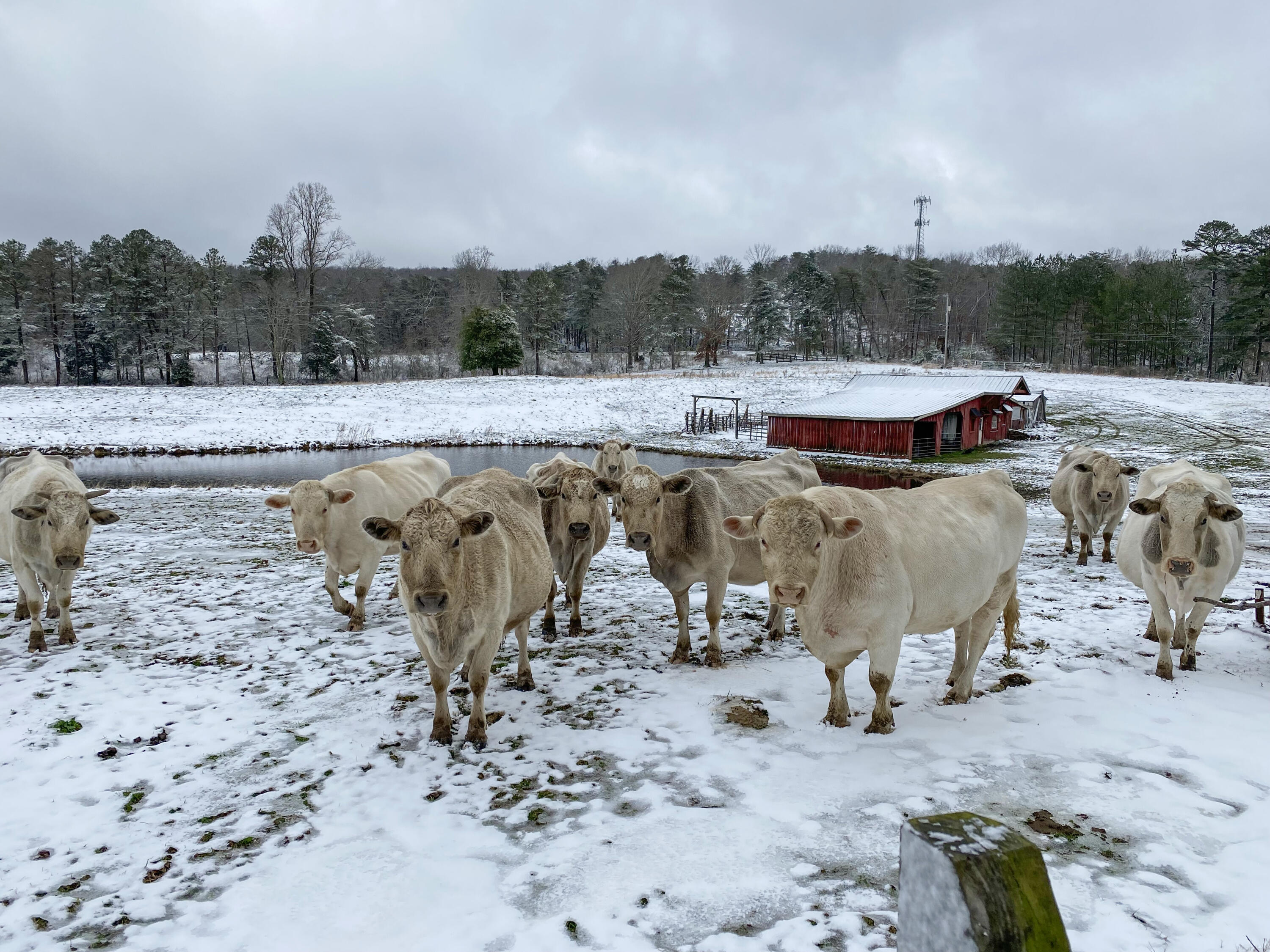 698 Payne Chapel Road Lookout Mountain, GA 30750 - Photo 95 of 101 18 - 698 Payne Chapel Rd - Seller Pics