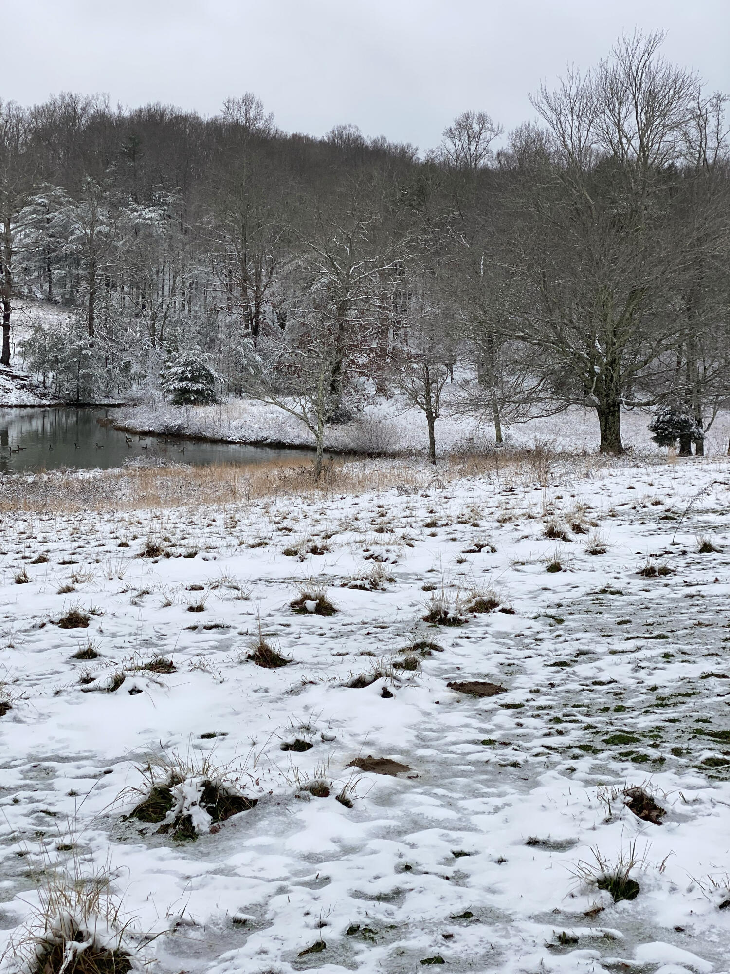 698 Payne Chapel Road Lookout Mountain, GA 30750 - Photo 96 of 101 20 - 698 Payne Chapel Rd - Seller Pics