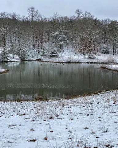 $2,500,000 | 698 Payne Chapel Road, Lookout Mountain, GA 30750