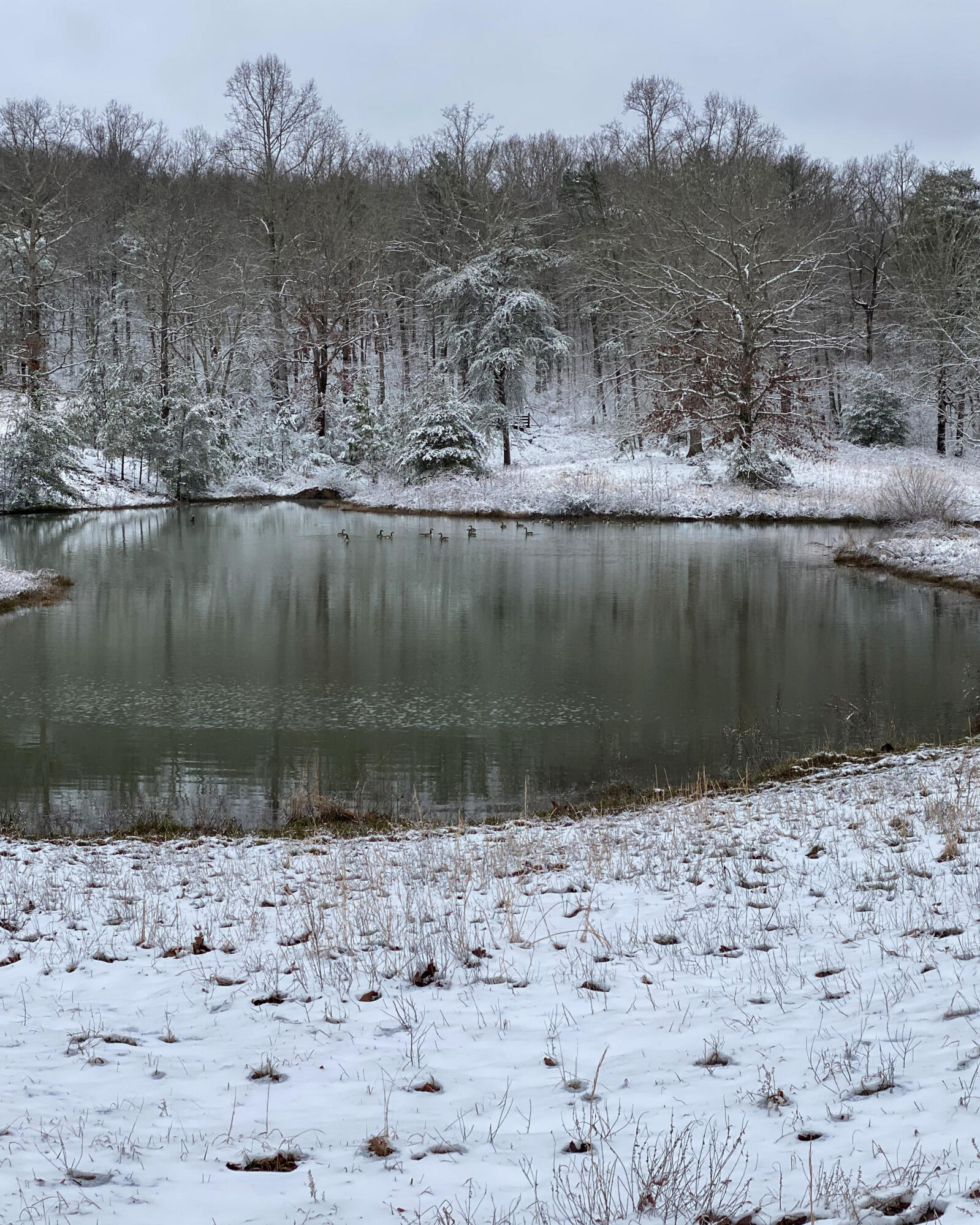 698 Payne Chapel Road Lookout Mountain, GA 30750 - Photo 97 of 101 21 - 698 Payne Chapel Rd - Seller Pics