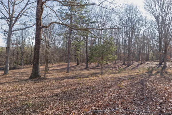 $2,000,000 | 698 Payne Chapel Road, Lookout Mountain, GA 30750