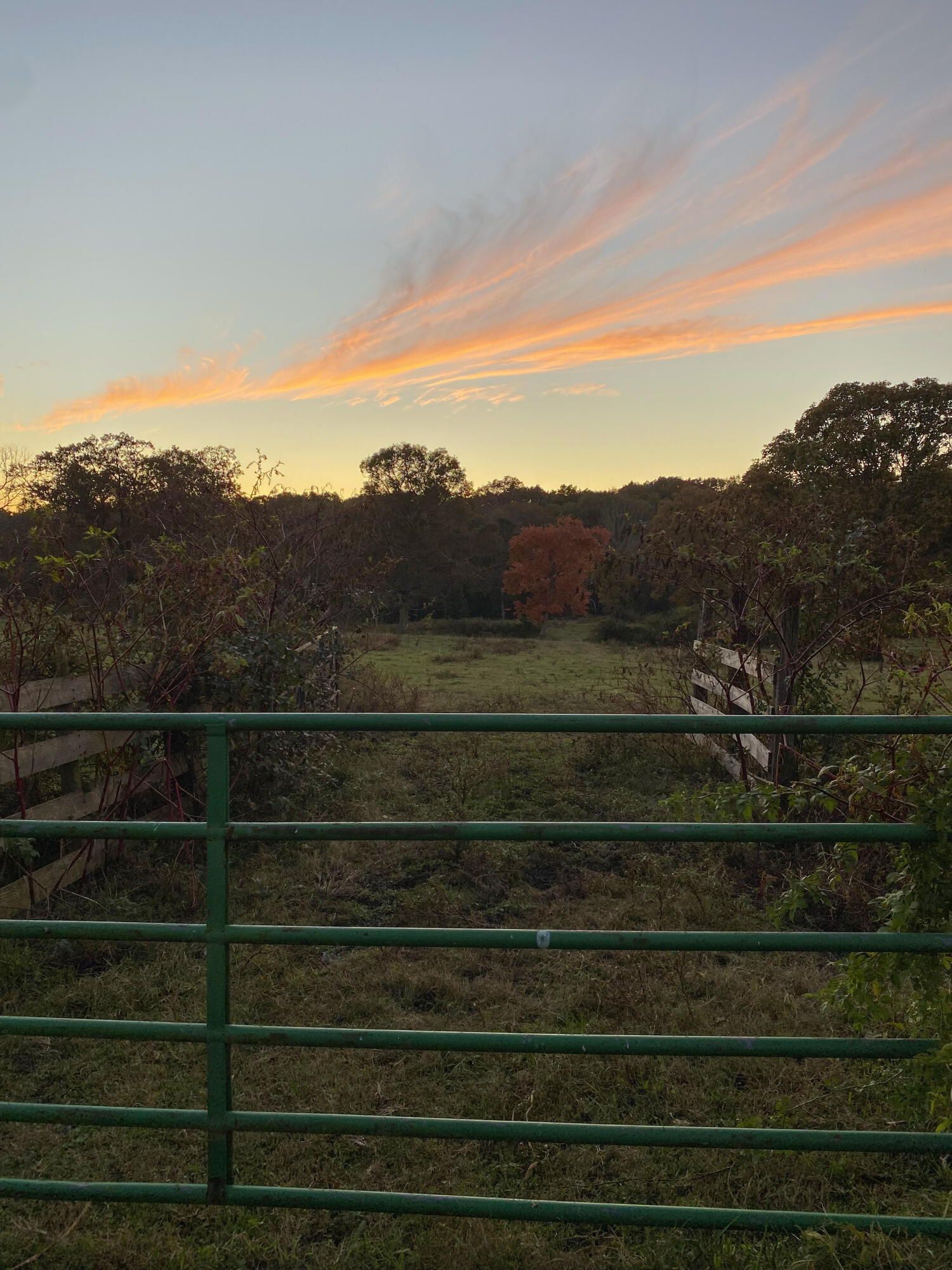 698 Payne Chapel Road Lookout Mountain, GA 30750 - Photo 99 of 101 23 - 698 Payne Chapel Rd - Seller Pics