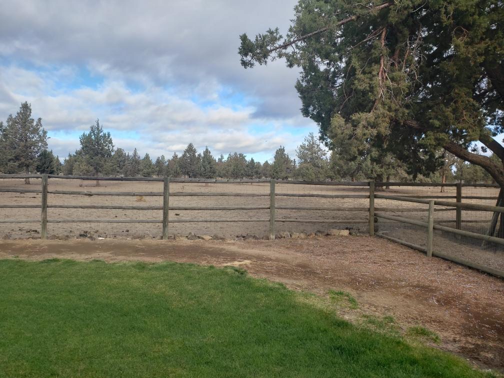17276 Southwest Blue Jay Road Terrebonne, OR 97760 - Photo 5 of 14 Resized952021102695103716