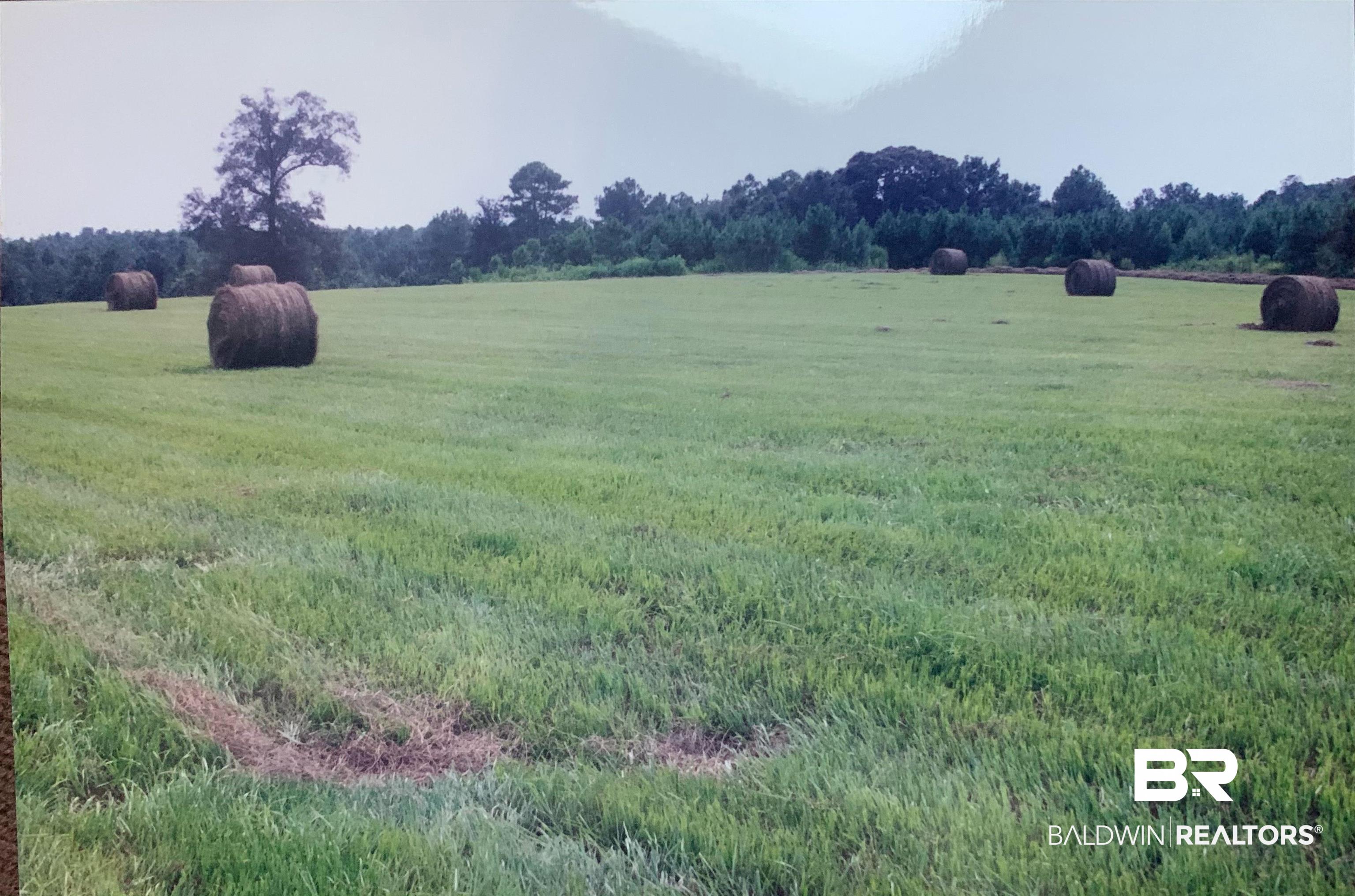 0 Hoyle Bryars Road Perdido, AL 36562 - Photo 5 of 6