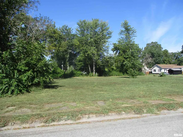 $12,000 | 0 North Buchanan Street, Benton, IL 62812