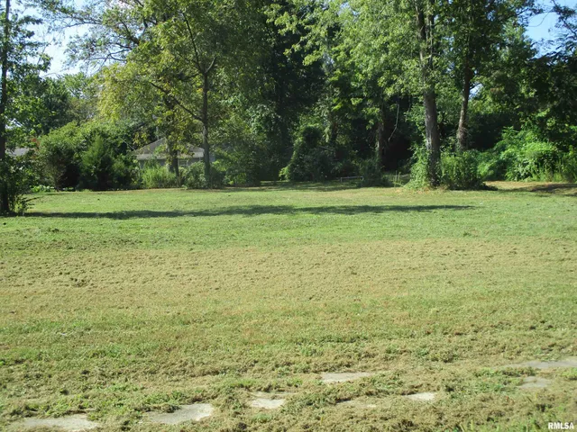 $12,000 | 0 North Buchanan Street, Benton, IL 62812