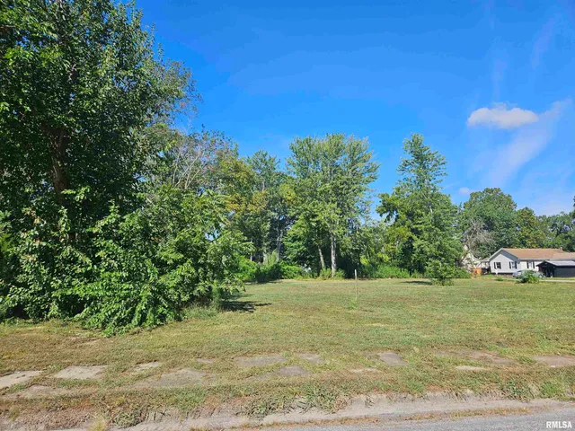 $12,000 | 0 North Buchanan Street, Benton, IL 62812