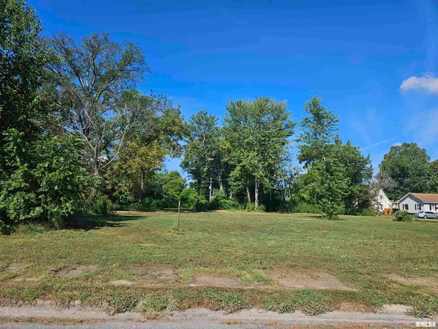 $12,000 | 0 North Buchanan Street, Benton, IL 62812