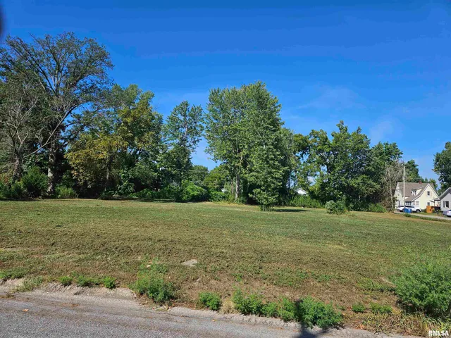 $12,000 | 0 North Buchanan Street, Benton, IL 62812