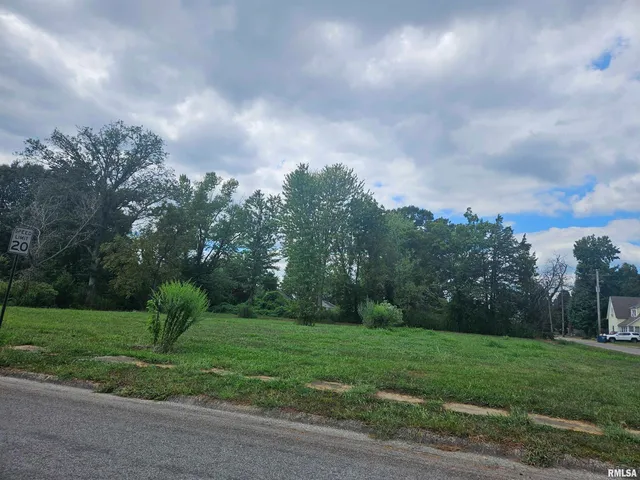 $12,000 | 0 North Buchanan Street, Benton, IL 62812