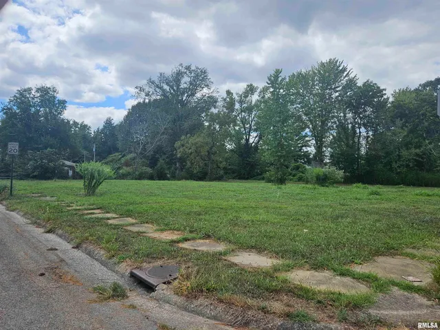 $12,000 | 0 North Buchanan Street, Benton, IL 62812