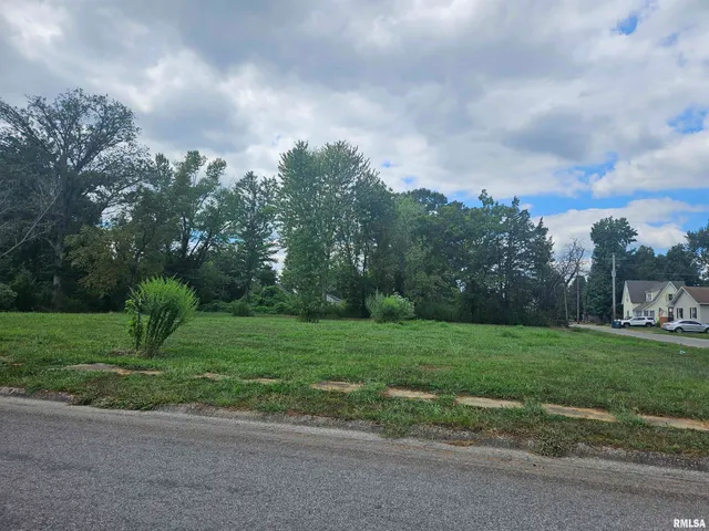 $12,000 | 0 North Buchanan Street, Benton, IL 62812