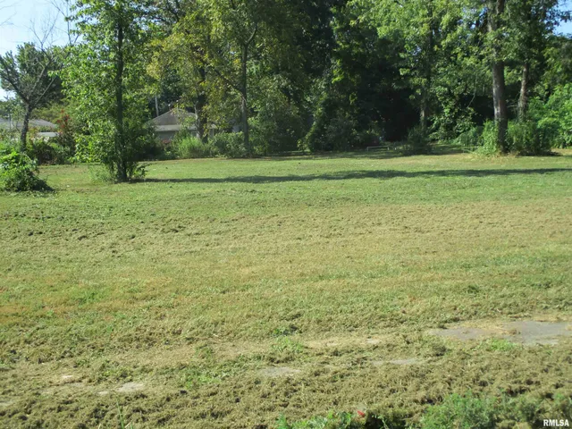 $12,000 | 0 North Buchanan Street, Benton, IL 62812