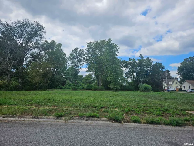 $12,000 | 0 North Buchanan Street, Benton, IL 62812