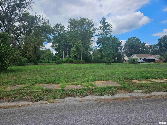 $12,000 | 0 North Buchanan Street, Benton, IL 62812