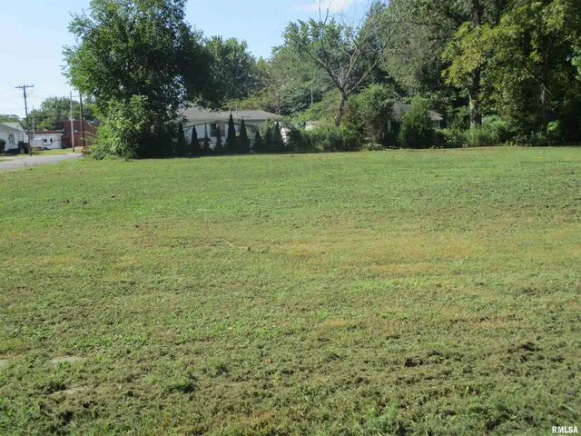 $12,000 | 0 North Buchanan Street, Benton, IL 62812