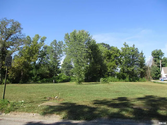 $12,000 | 0 North Buchanan Street, Benton, IL 62812