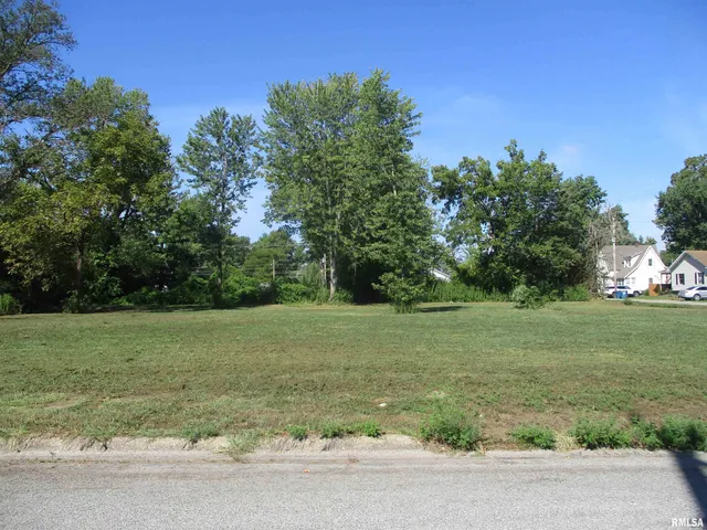 $12,000 | 0 North Buchanan Street, Benton, IL 62812