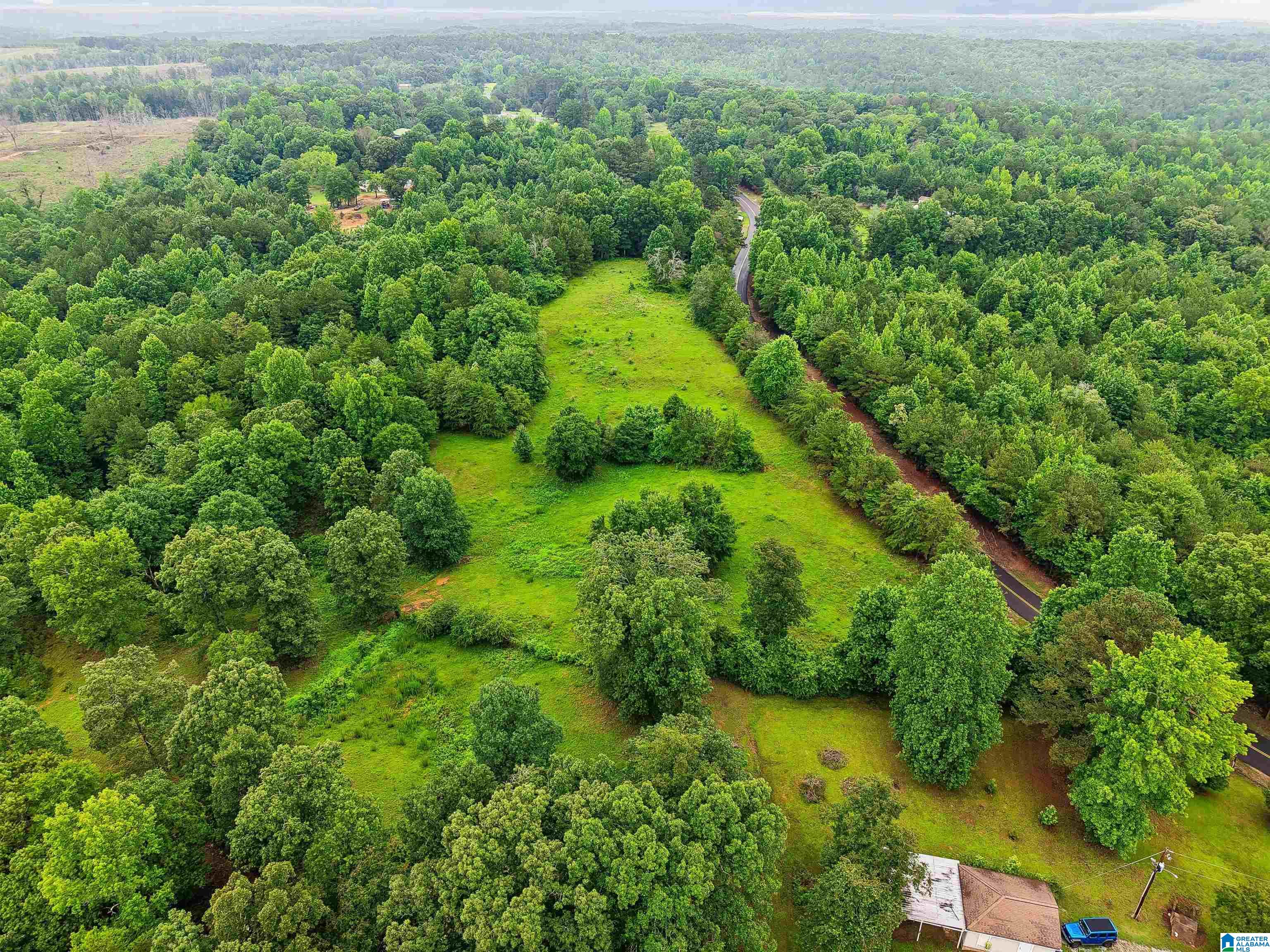 2919 Old Pineywoods Road Jasper, AL 35504 - Photo 19 of 56