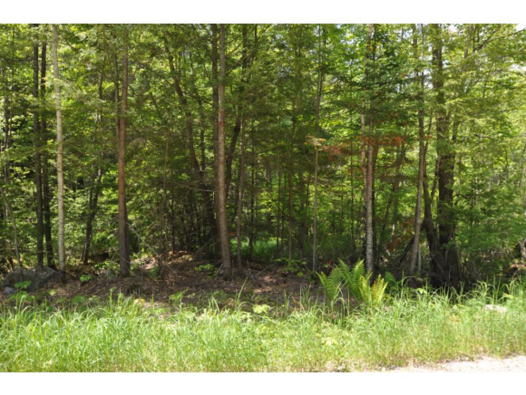 583 Forest Acres Road New London, NH 03257 - Photo 22 of 23