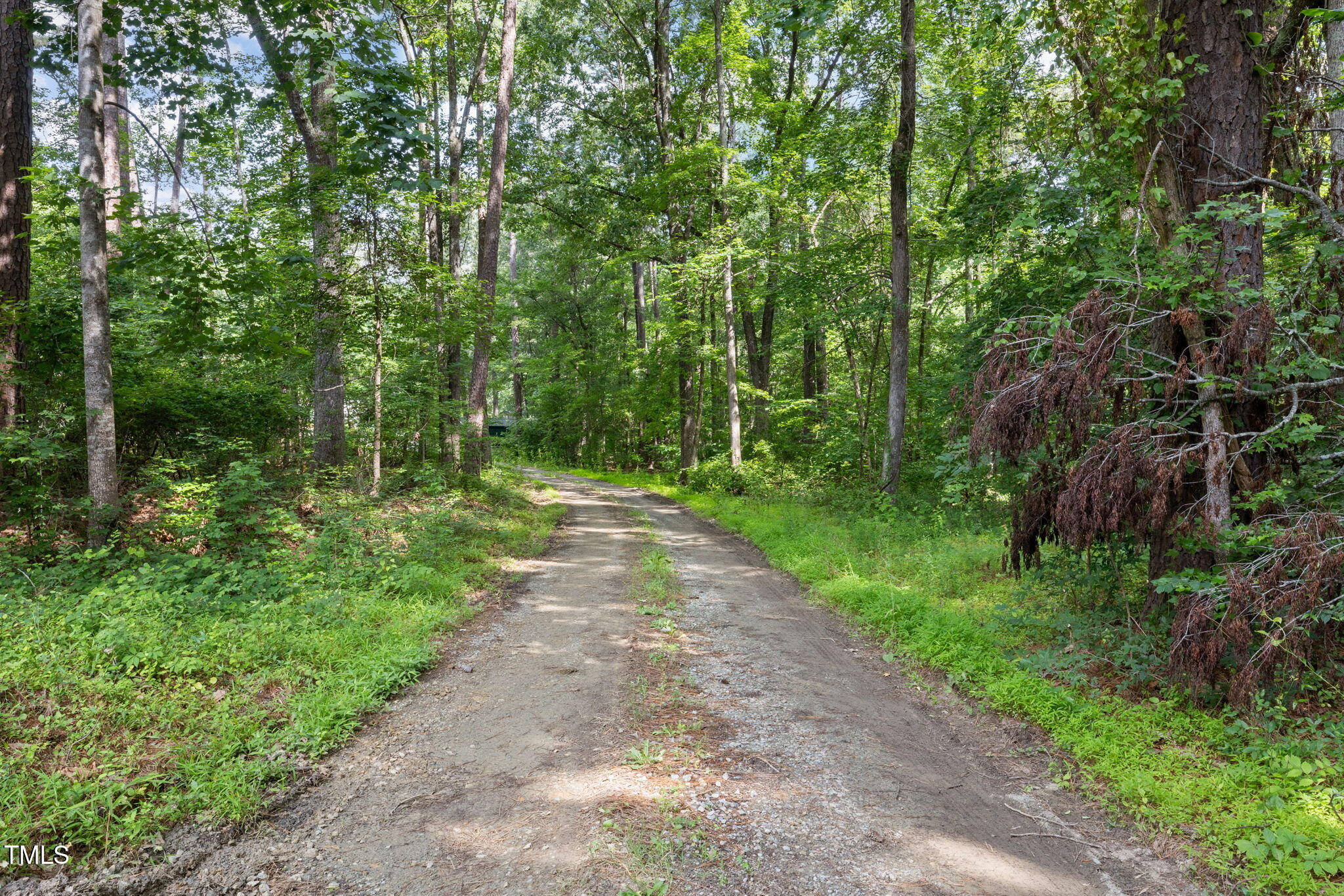 7571 Highway 751 Durham, NC 27713 - Photo 11 of 11 a view of a park with large trees