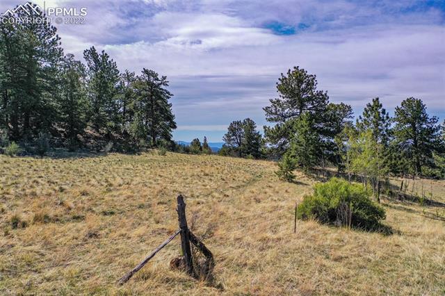 339 Chipper Road Guffey, CO 80820 - Photo 29 of 34 Gallery Image 29