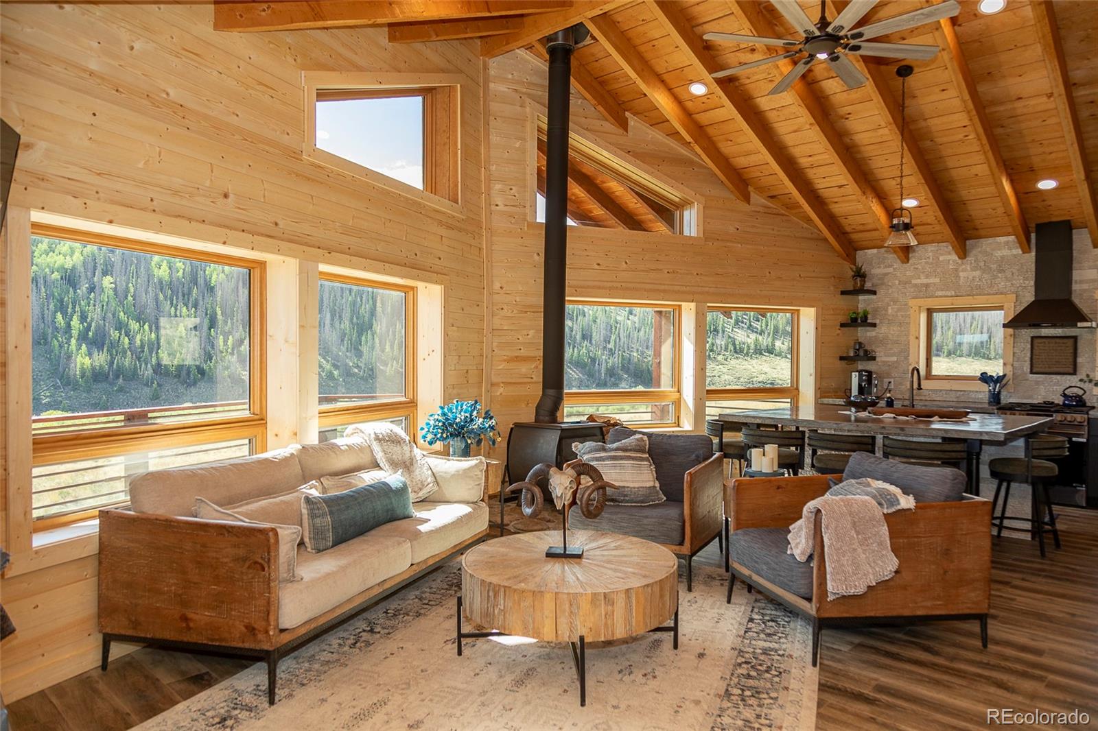 1001 County Road Lake City, CO 81235 - Photo 5 of 26