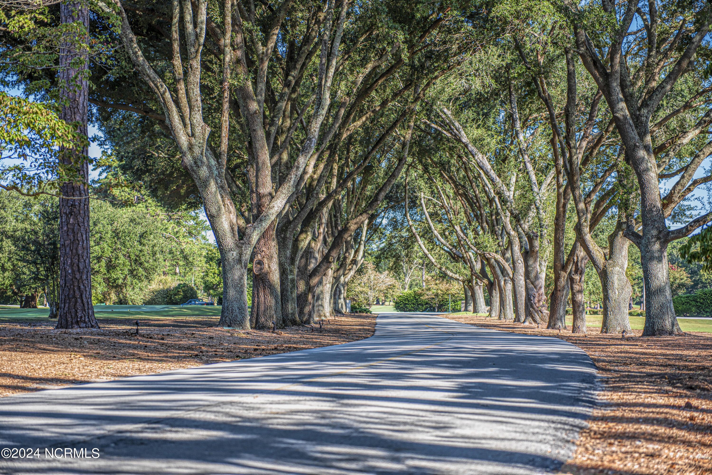 4510 Tenella Road New Bern, NC 28562 - Photo 70 of 70 Trent Woods