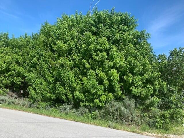 754 Plantation Road Key Largo, FL 33037 - Photo 1 of 2 Wooded Lot