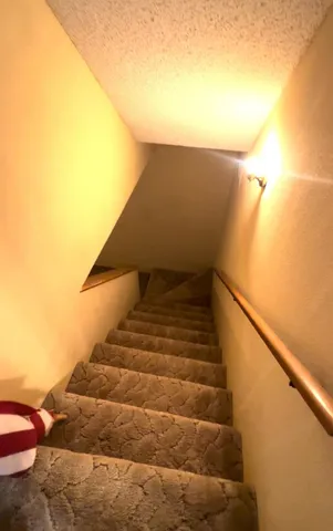 a view of a garage with storage