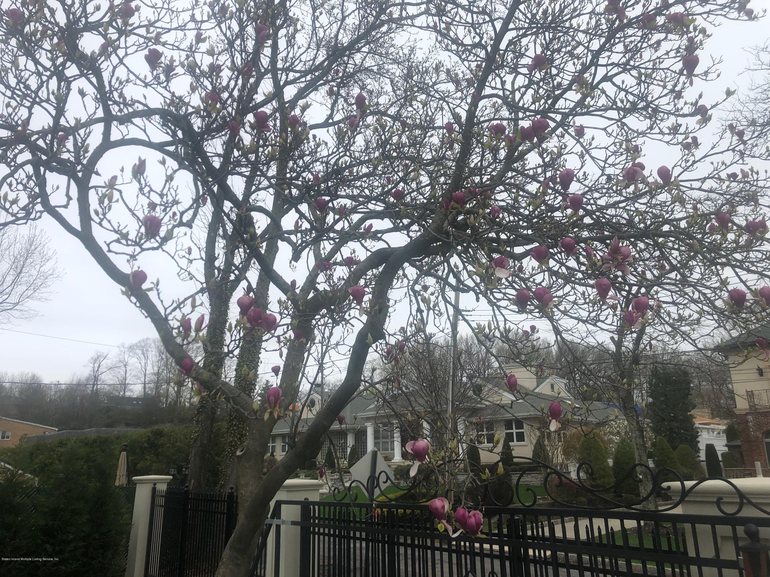 16 Buttonwood Road Staten Island, NY 10304 - Photo 10 of 10 but7